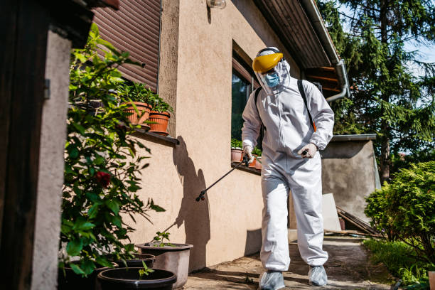 Best Pest Prevention Services  in Island Park, NY