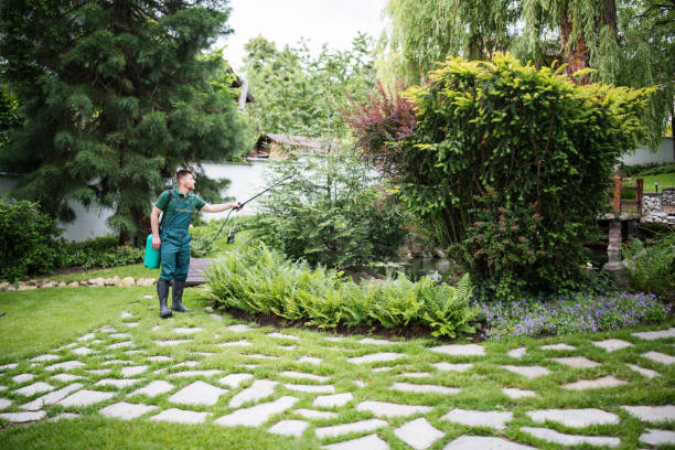 Best Emergency Pest Control  in Island Park, NY