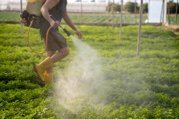Best Commercial Pest Control Services  in Island Park, NY