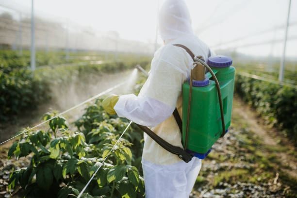 Best Residential Pest Control  in Island Park, NY